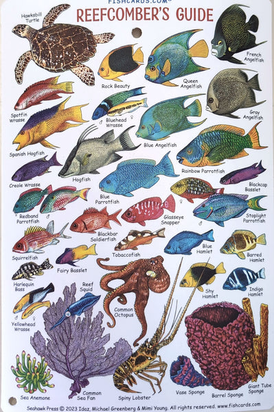 Reefcomber's Guide Waterproof Card