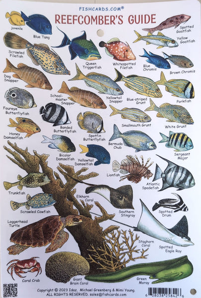 Reefcomber's Guide Waterproof Card