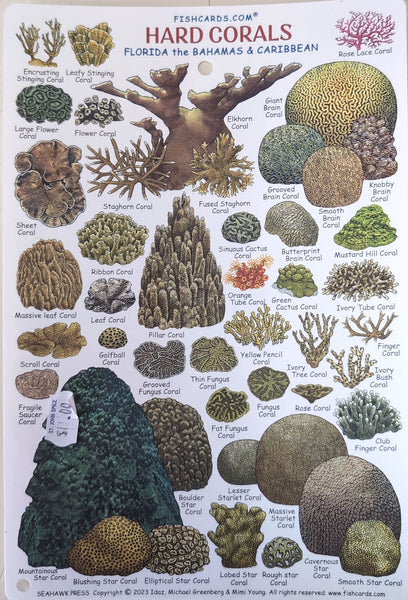 Hard Corals and Marine Invertebrates of Florida, the Bahamas & Caribbean Waterproof Card