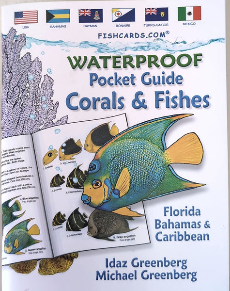 Pocket Guide to Coral & Fishes of Florida, the Bahamas & Caribbean by Idaz Greenberg