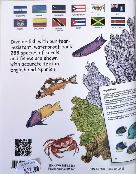 Pocket Guide to Coral & Fishes of Florida, the Bahamas & Caribbean by Idaz Greenberg