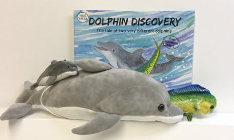 Dolphin Discovery Gift Set