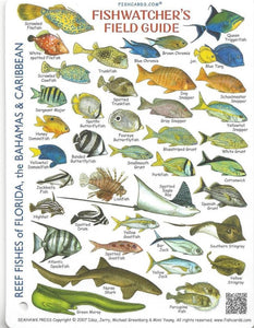 Fishwatchers Mini Field Guide Reef Fishes of Florida, Bahamas and Caribbean