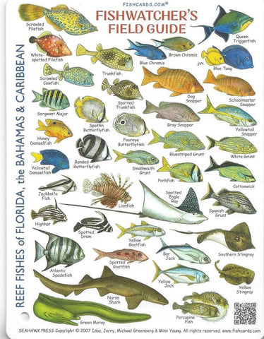 Fishwatchers Mini Field Guide Reef Fishes of Florida, Bahamas and Caribbean