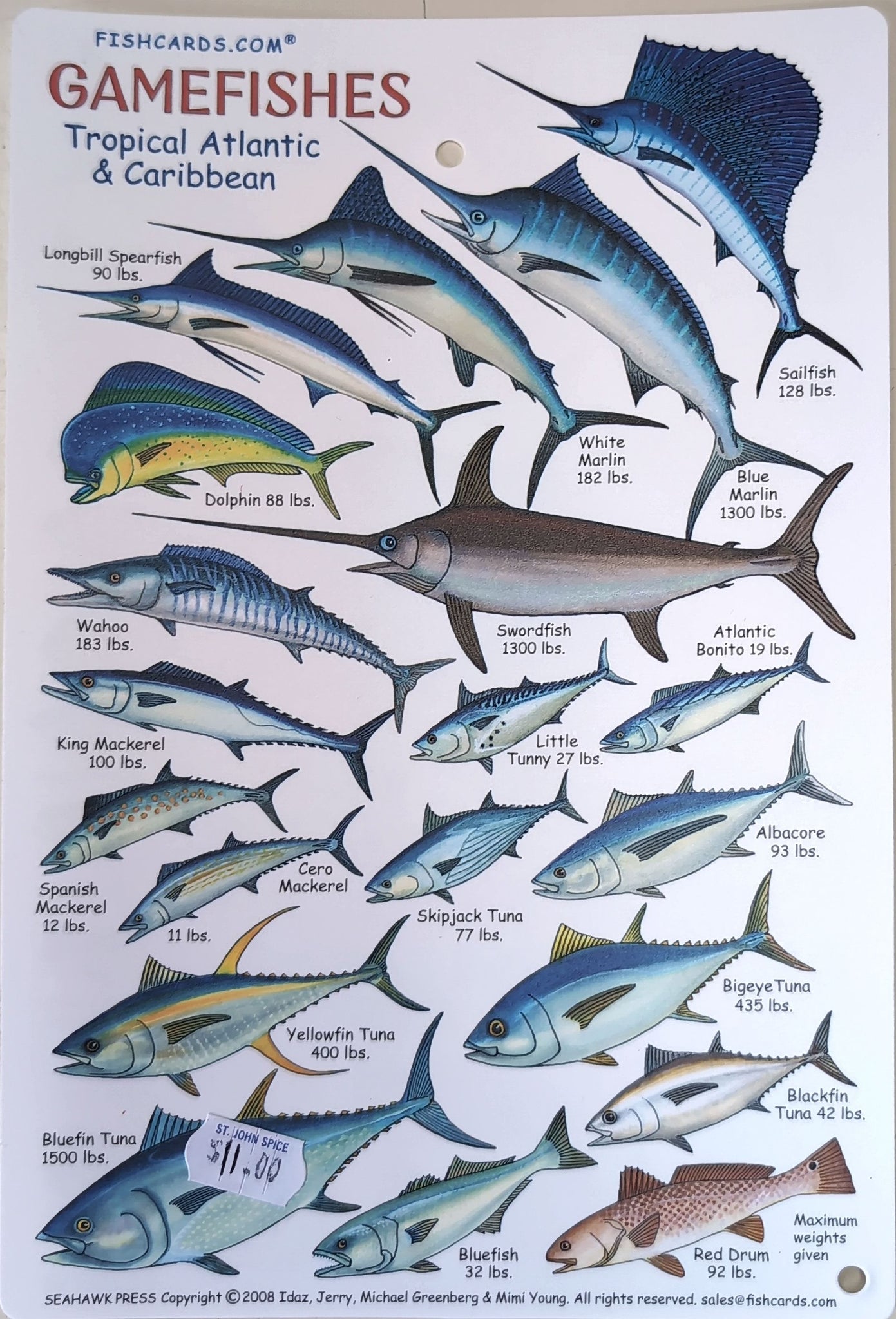 Atlantic Game Fish Chart Atlantic Ocean Big Game Guide Waterproof