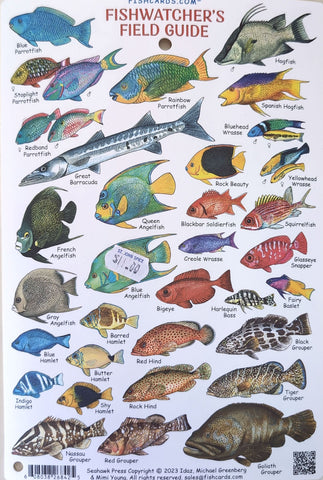 Fishwatcher's Field Guide Waterproof Card