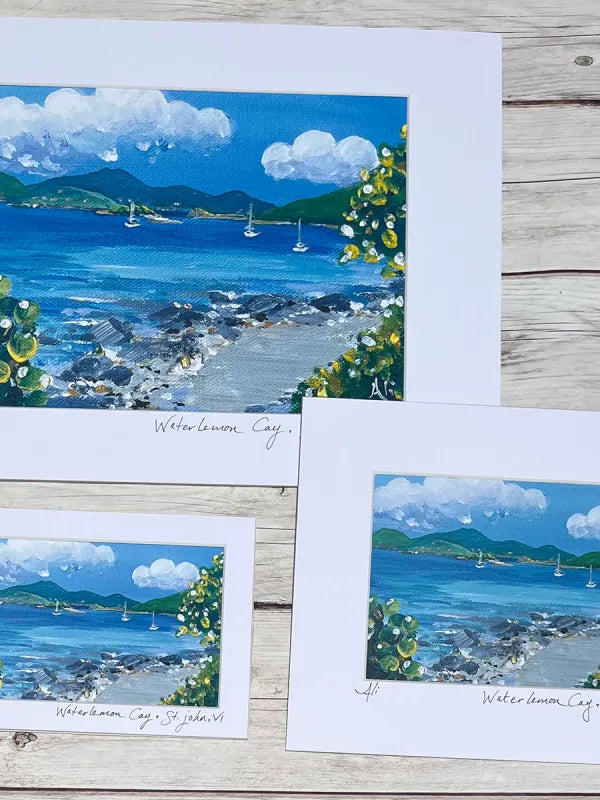 Waterlemon Cay Snorkel Spot St. John VI Matted Print (Horizontal)