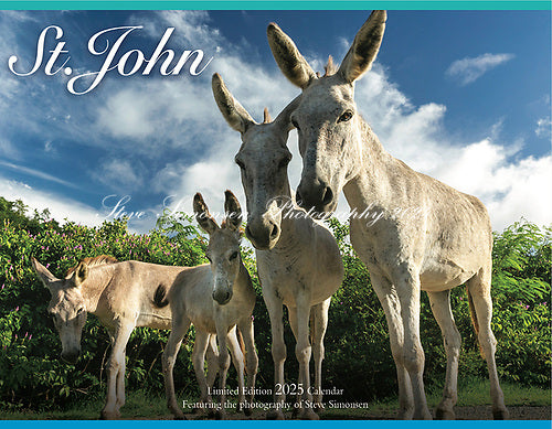 2025 St. John Calendar by Steve Simonsen