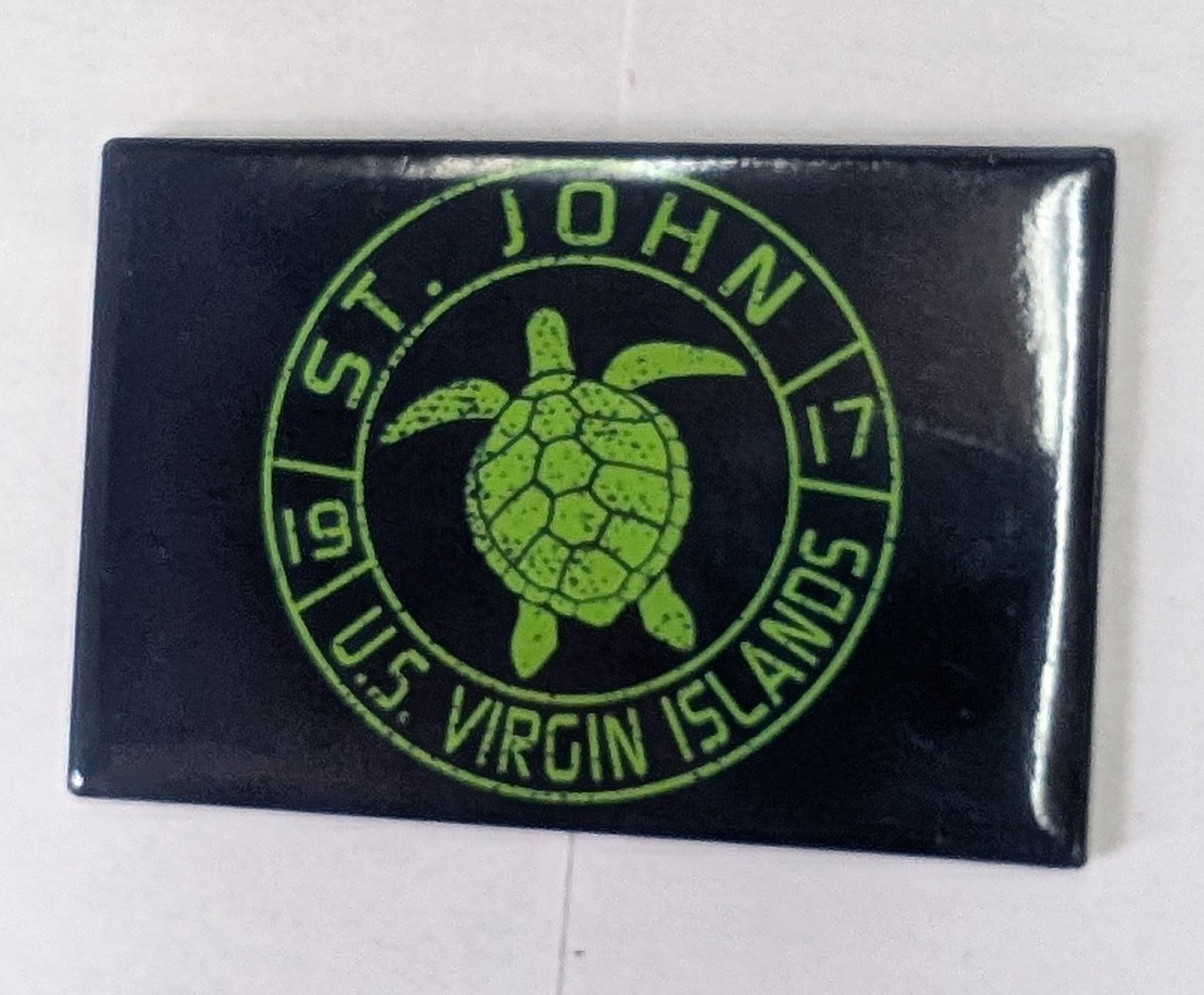 Turtle Passport Magnet