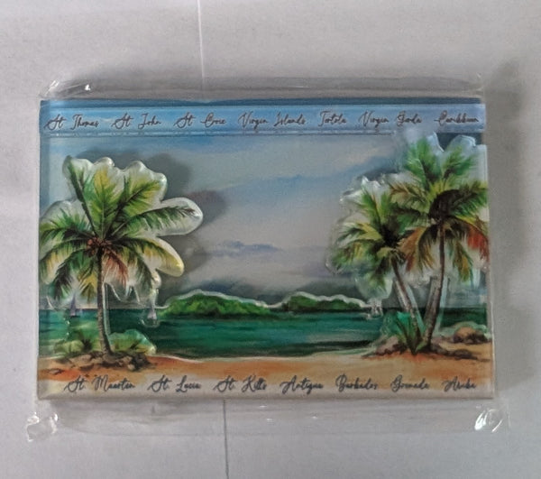 3D Acrylic Magnets