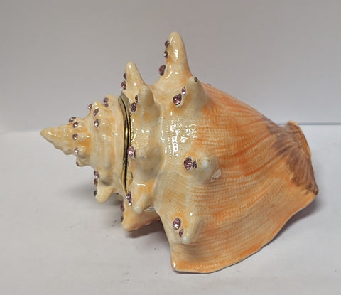 Orange Conch Shell Jewelry Box