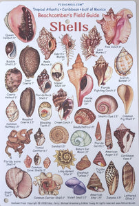 Beachcombers Field Guide to Shells of the Tropical Atlantic, Caribbean and Gulf of Mexico