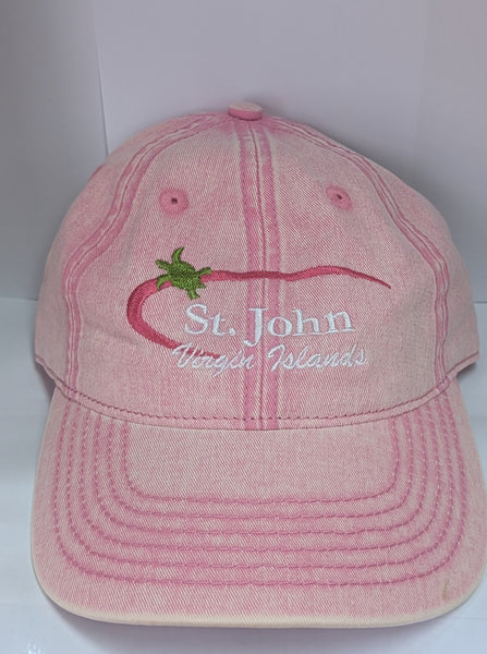 Swoosh Turtle Baseball Cap
