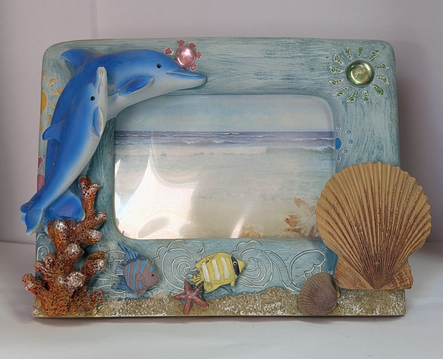 Blue Dolphin Portrait Photo Frame