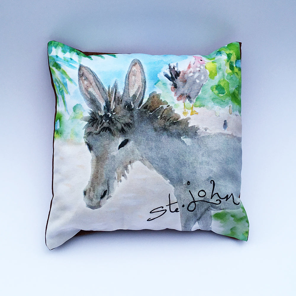 Baby Donkey and Chicken Pillow Cover