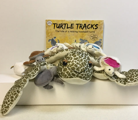 Turtle Tracks Tilli & Baby Hatchlings Gift Set
