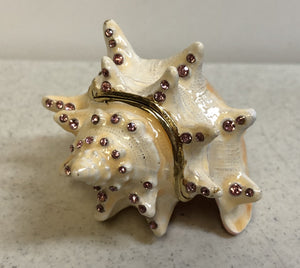 Conch Shell Jewelry Box