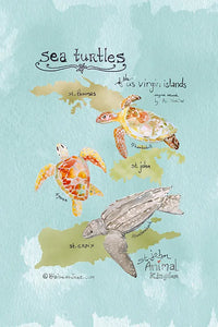 Sea Turtle Map Poster Wall Art Print