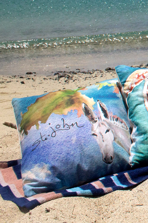 Donkey Map Pillow Cover
