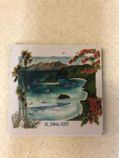 Flowers on the Right Soft Coaster