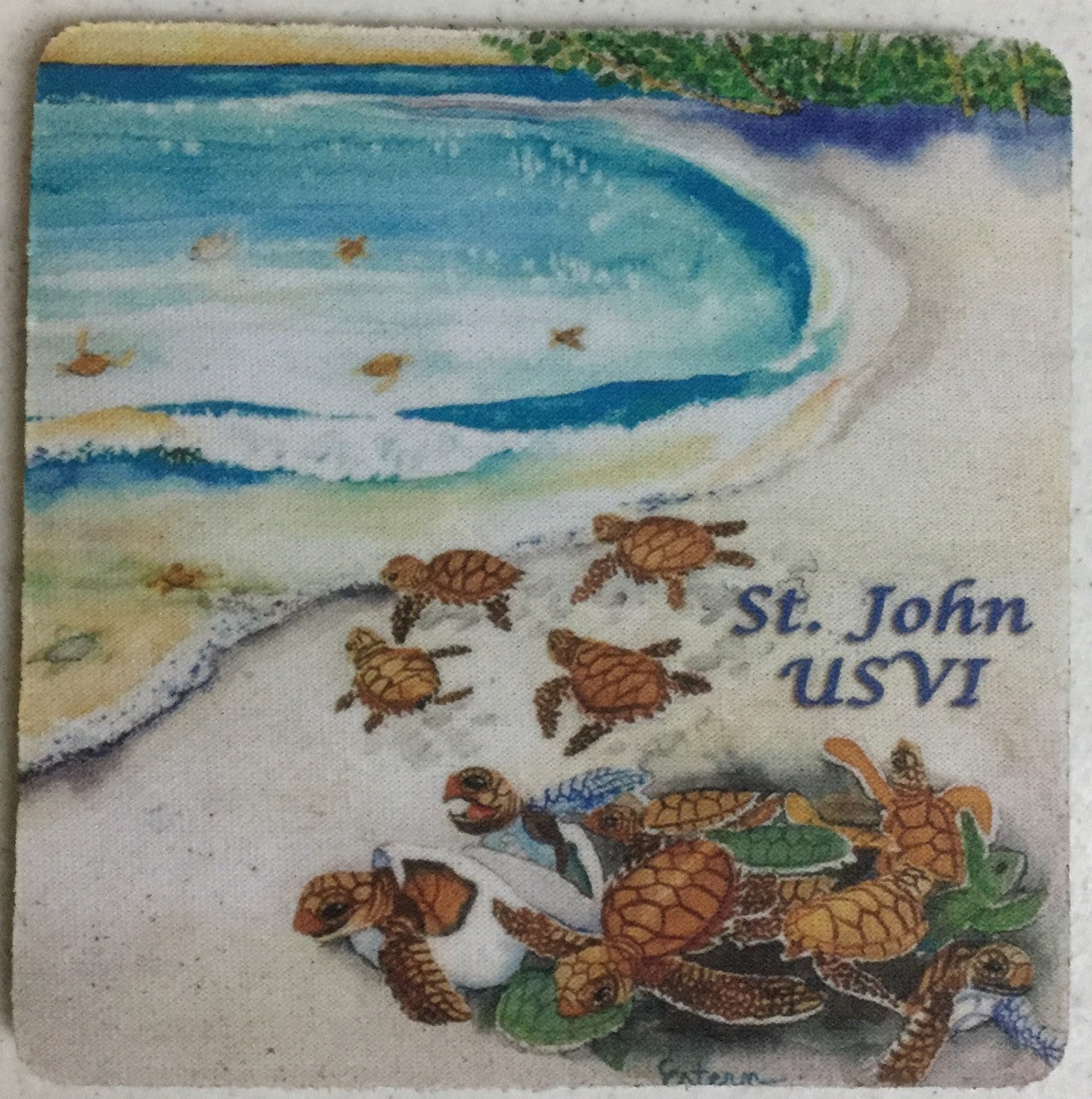 Turtles Hatching Soft Coaster